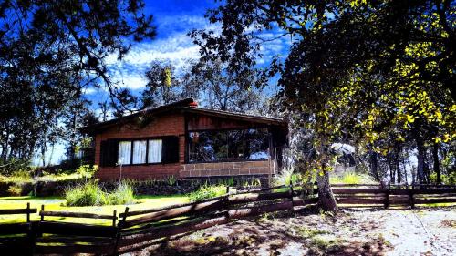 Acaxochitlan Other | Cabaña en medio del bosque ZA