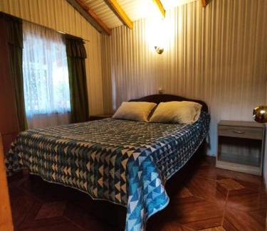 Salto del Laja House | Cabaña la Araucaria
