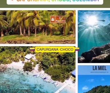 Capurgana House | cabaña los corales