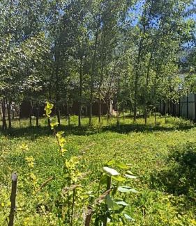 Puerto Aysen Apartment | Cabaña Moderna para Desconectar
