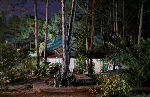 Siguatepeque Ski Chalet | Cabaña monte de los olivos