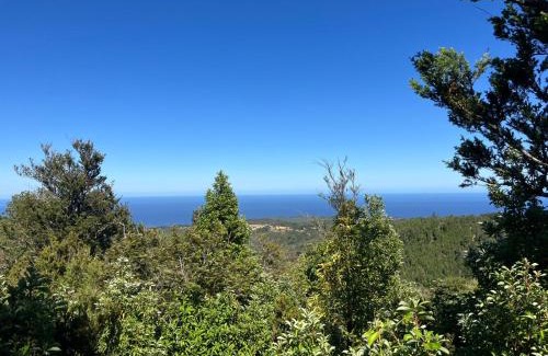 Valdivia Ski Chalet | Cabaña VIDA en Oncol