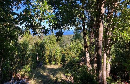 Valdivia Ski Chalet | Cabaña VIDA en Oncol