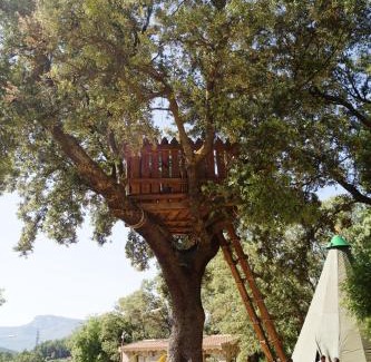 Yeste House | CABAÑAS ARGUELLITE