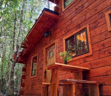Panguipulli Cabin | Cabañas Bosque Milenario