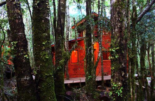 Panguipulli Cabin | Cabañas Bosque Milenario