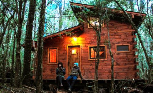 Panguipulli Cabin | Cabañas Bosque Milenario