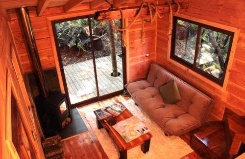 Panguipulli Cabin | Cabañas Bosque Milenario