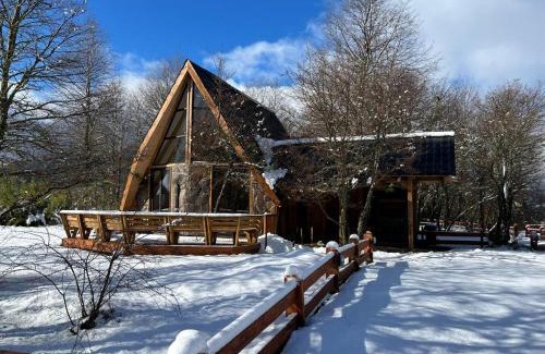 Malalcahuello Ski Chalet | CABAÑAS BOSQUE NEVADO