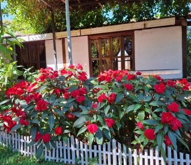 Apaneca Hotel | cabañas de Apaneca