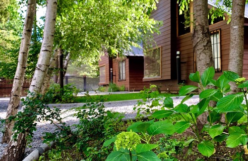 Lican Ray Cabin | Cabañas El Nativo - Licán Ray