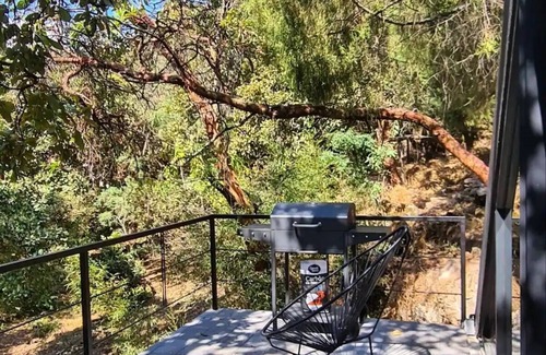Tepoztlan Cabin | Cabañas Grasshopper SHIELD