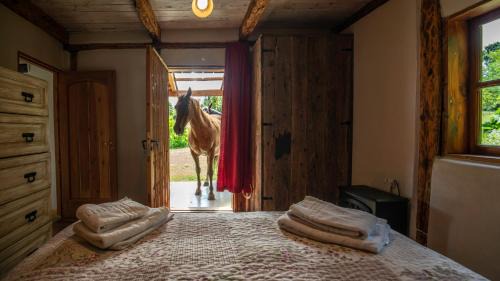 Hoyo de Epuyen Cabin | Cabañas Hacia El Sur