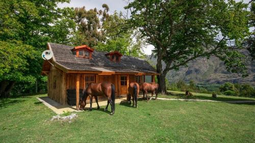 Hoyo de Epuyen Cabin | Cabañas Hacia El Sur