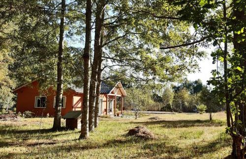 Mariquina Apartment | Cabañas Las Araucarias
