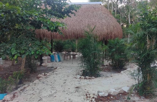 Xpujil Cabin | Cabañas la orquídea