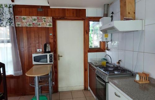 Choshuenco Apartment | Cabañas La Travesía