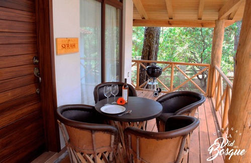 Tapalpa Cabin | Cabañas La Vid Del Bosque