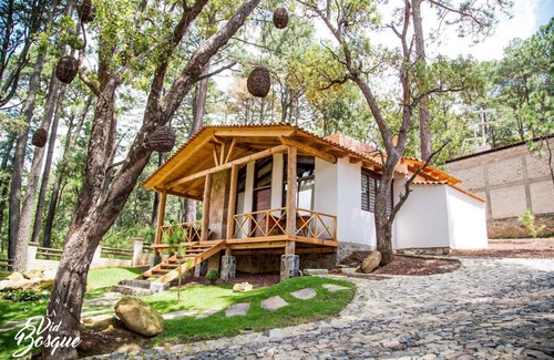 Tapalpa Cabin | Cabañas La Vid Del Bosque