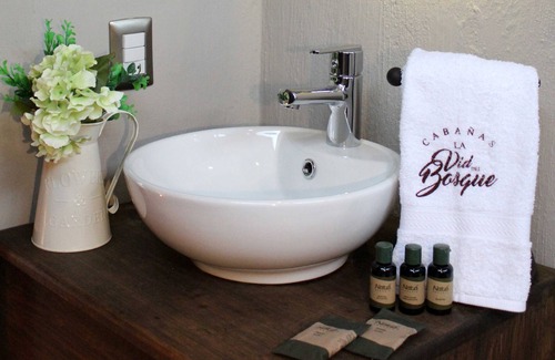 Tapalpa Cabin | Cabañas La Vid Del Bosque