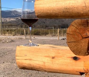 Uspallata Ski Chalet | cabañas MERAKI