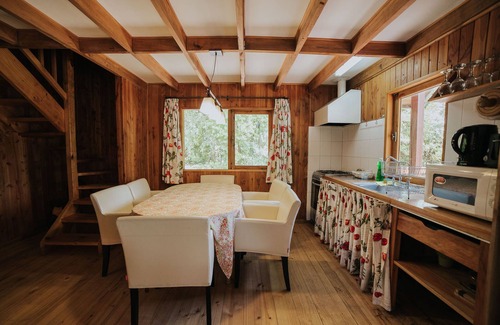 Pucon Cabin | Cabañas Metreñehue