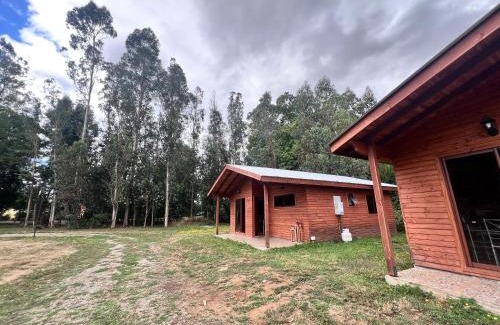 Gorbea Apartment | Cabañas NATURE