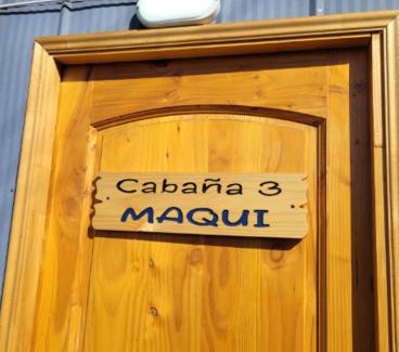 Chile Chico Apartment | CABAÑAS RINCON SOLEADO, Chile Chico