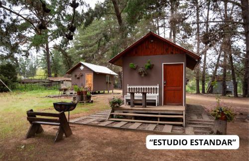 El Quisco Cabin | Cabañitas del Bosque