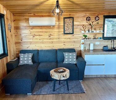 Maguri-Racatau House | Cabană Vinkiș