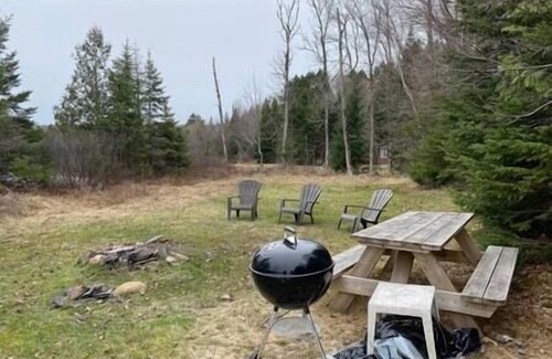 Nominingue House | Caban 9, au bord du lac noir !