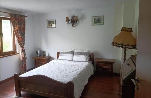 Cosbuc House | Cabana Țibleș
