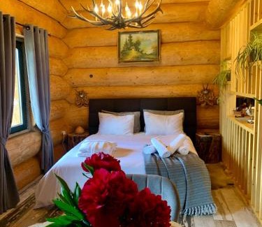 Vama Ski Chalet | Cabana Abel