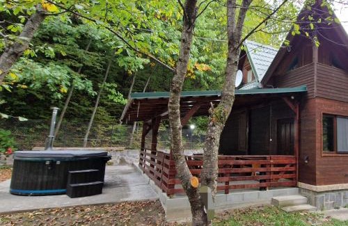 Sovata House | Cabana Anita