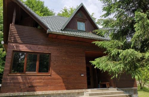 Sovata House | Cabana Anita