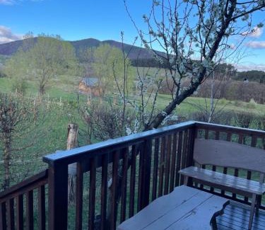 Rasinari House | Cabana Apple Garden Rășinari