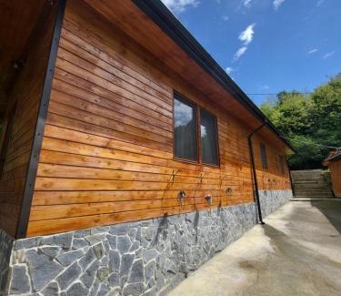 Calimanesti House | Cabana Beta
