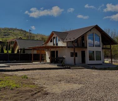 Ocna Mures House | Cabana Carpatin