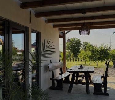 Ocna Mures House | Cabana Carpatin