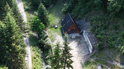 Damuc House | Cabana Doi Brazi A-FRAME