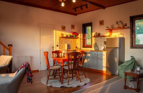 Calatele Ski Chalet | Cabana Foxes' Shelter din Beliș, Apuseni