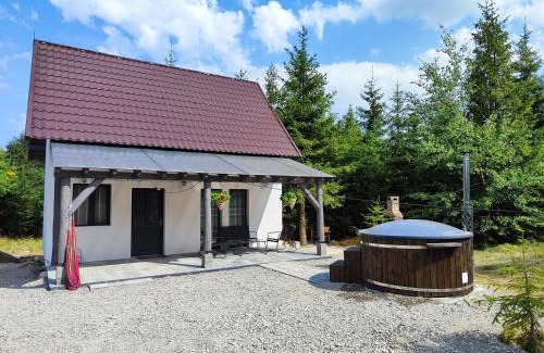 Sincraieni House | Cabana home