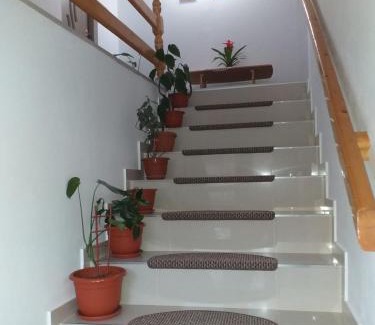 Vadu Motilor Resort | Cabana La Cucu