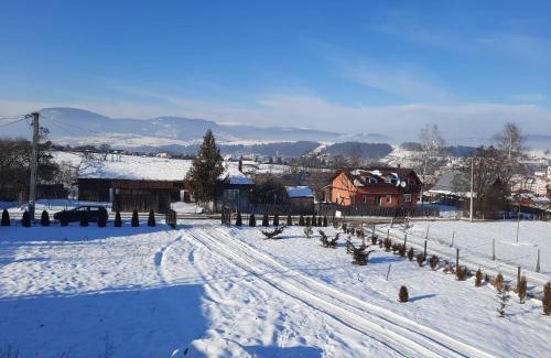 Toplita Ski Chalet | Cabana la Munte