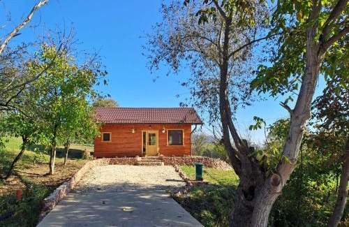 Ganesti Apartment | Cabana Laura