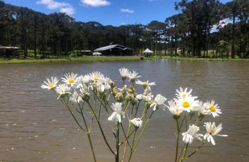 Bom Jardim da Serra House | Cabana no Lago, Paz e Aconchego