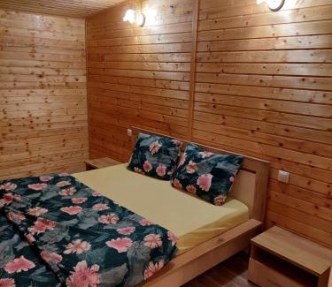 Ocna Sibiului House | Cabana Oprișor