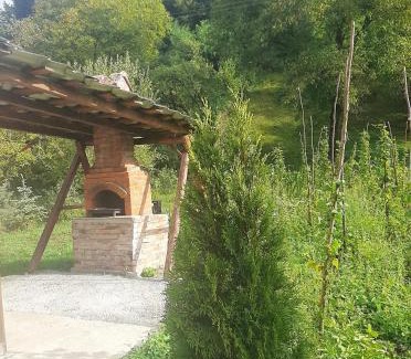 Viseu de Sus House | Cabana plaiului