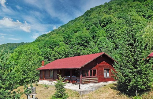 Slanic-Moldova House | Cabana Poiana Verde
