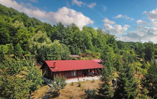 Slanic-Moldova House | Cabana Poiana Verde
